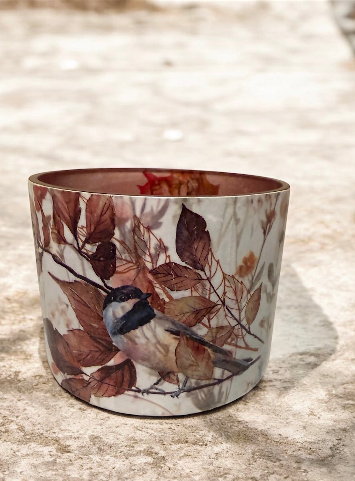 Birds on a Branch