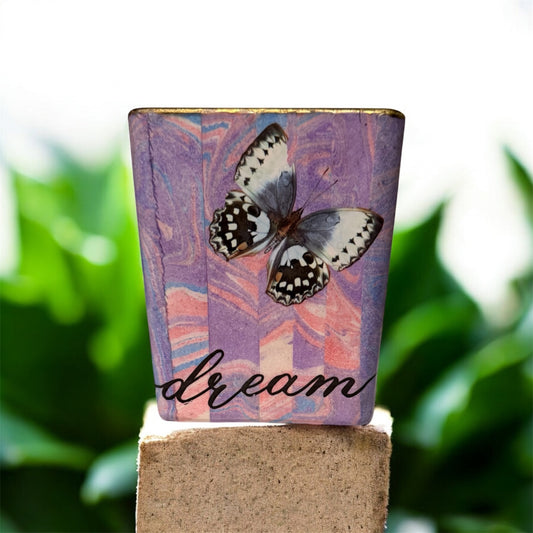 Butterfly Dreams