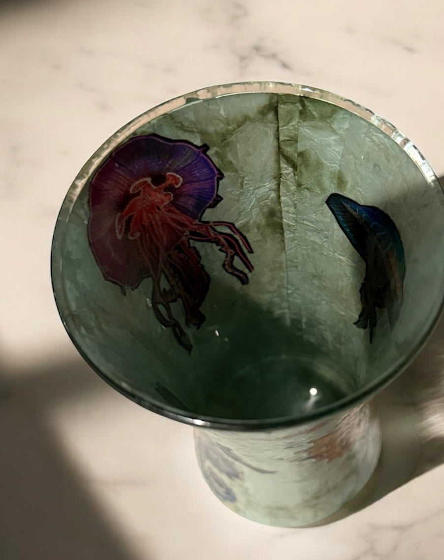 Seahorses and Jellyfish
